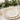 Elegant eco-friendly scalloped paper party plates with subtle gold rims