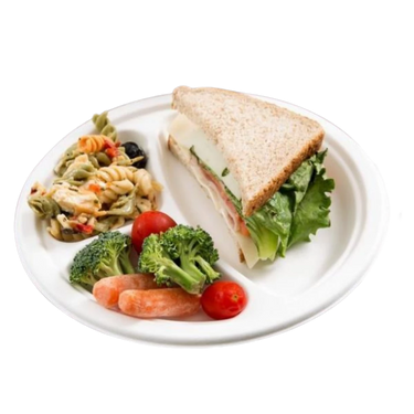 Compostable Bagasse Plates collection banner for wholesale compostable foodservice packaging