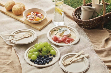 Compostable Bagasse Flat Plates collection banner for wholesale compostable foodservice packaging