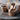 100mm Wooden Teaspoon | Eco Cutlery Wholesale - real takeaway meal scene for Greenland wholesale buyers