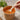 140mm Wooden Spoon | Eco Cutlery Wholesale - real catering use scene for Greenland wholesale buyers