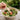 160mm Disposable Bamboo Fork | Compostable Cutlery Wholesale - real catering use scene for Greenland wholesale buyers