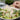 165mm Wooden Fork | Eco Cutlery Wholesale - real catering use scene for Greenland wholesale buyers