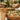 170mm Bamboo Fork | Disposable Bamboo Cutlery - real bulk foodservice setup scene for Greenland wholesale buyers