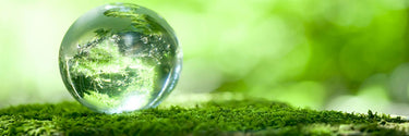 Sustainable lifestyle with compostable bagasse tableware and food packaging